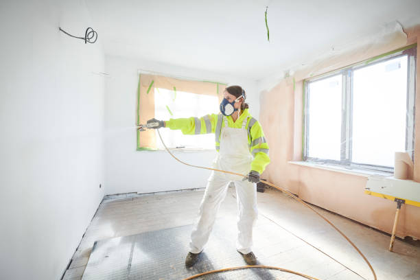 Best Environmental Consulting for Mold Prevention  in Hanover Park, IL