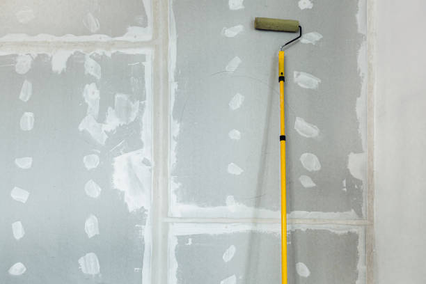 Best Post-Construction Mold Inspection  in Hanover Park, IL