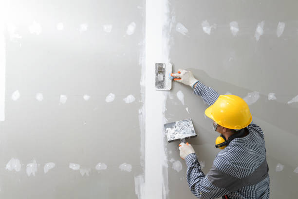 Best Asbestos and Lead Testing During Mold Inspection  in Hanover Park, IL