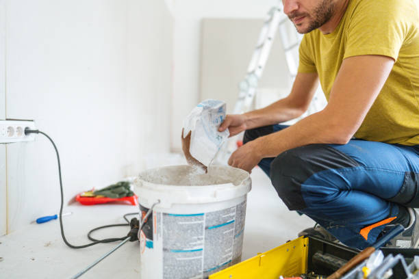 Mold Odor Removal Services in Hanover Park, IL