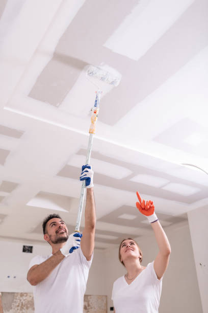 Best Mold Damage Restoration  in Hanover Park, IL