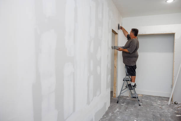 Best Dehumidification Services  in Hanover Park, IL