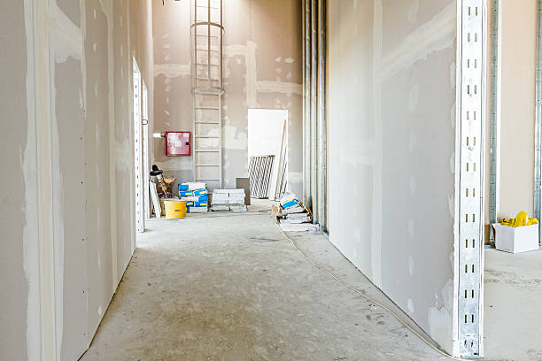 Best Residential Mold Inspection & Testing  in Hanover Park, IL